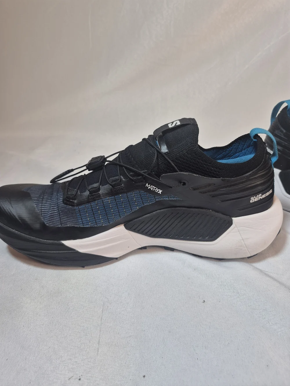Salomon lab genesis